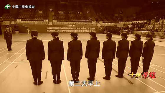 創(chuàng)業(yè)是一條無比艱辛的路，創(chuàng)新更是無限風(fēng)光在險(xiǎn)峰。在男性為主導(dǎo)的商海里，女性創(chuàng)業(yè)創(chuàng)新需要鼓足十萬分的勇氣和力量，是挑戰(zhàn)未來成功的小概率事件。而十堰姑娘楊麗便是這小概率事件中的一個(gè)傳奇，也是女性創(chuàng)業(yè)創(chuàng)新的榜樣。今天就來認(rèn)識這位傳奇女性-興千田集團(tuán)楊麗。